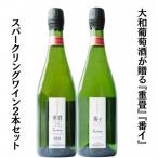 ふるさと納税 甲州市 大和葡萄酒が贈る『重畳』『番イ』スパークリングワイン2本セット　B15-733