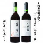 大和葡萄酒が贈る 十二原メルロー ベリー瑛
