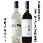 ふるさと納税 甲州市 大和葡萄酒が贈る『十二原メルロー』『古代甲州』赤白ワイン2本セット B16651