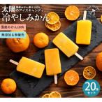 冷やしみかんアイス 20本セット