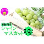 ショッピングふるさと納税 シャインマスカット ふるさと納税 富士川町 【令和8年度先行予約】頬張る幸福感 〜緑の宝石・シャインマスカット〜 2kg以上(3〜5房)
