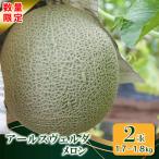 ふるさと納税 村上市 数量限定【8月下旬発送】季節限定!甘〜い あおぞら農産「アールスヴェルダメロン」A4107