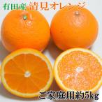 有田産清見オレンジ約5kg サイズおまかせ
