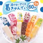 葛バー 葛きゃんでぃ 60本セット 溶けないアイス