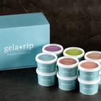 ふるさと納税 上富良野町 gelatrip's selectionジェラート12個BOX