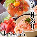 お試し丼ぶり3種9パックセット A0-63