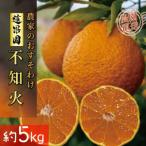 ふるさと納税 松山市 【先行予約】2026年2月下旬〜順次発送 不知火約5kg(デコポンと同品種) サイズ混合 農家直送