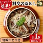 料亭の釜めし 極
