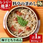 料亭の釜めし 極