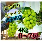 ふるさと納税 甲州市 【農家直送】パリっと大粒シャインマスカット 4キロ