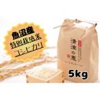 令和8年産 魚沼産特別栽培米コシヒカリ〈清津の恵〉5Kg