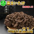 南魚沼産 黒 高級 まいたけ 2.1kg