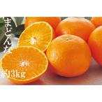 マドンナ 愛媛果試第28号 約3kg