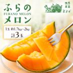 ふるさと納税 富良野市 ふらのメロン 3玉(1玉約1.7kg〜2kg)赤肉メロン農家直送フルーツ 北海道富良野産〈相馬農園〉