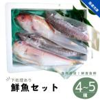 勝浦渡船の季節のお魚詰合せセット