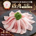 ゆめの大地豚肉切落し モモ ウデこま肉 200g×22パック計4.4…