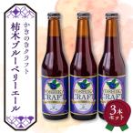 かきのきクラフト 柿木ブルーベリーエール3本セット