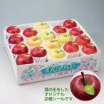 ふるさと納税 黒石市 【令和7年産・先行予約】糖度13度選果 シナノスイート&名月&サンふじ りんご3種 約4.3kg