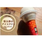 ふるさと納税 北川村 慎太郎アイスクリンコーン10個