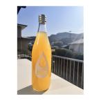 産甘夏みかん100%ジュース 3本セット