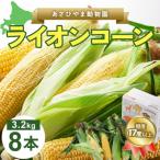 ふるさと納税 旭川市 2025年8月より発送 あさひやま動物園ライオンコーン3.2kg 旭山動物園監修箱入り_03812
