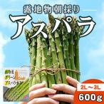 ふるさと納税 旭川市 旭川近郊産露地物アスパラ 600g 2L〜3L_03816