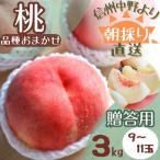 ふるさと納税 中野市 【旬にあわせたおいしい桃をお届け!】贈答用 桃 3kg(品種おまかせ 9〜11玉)