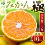 極早生みかん 10kg