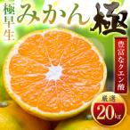 極早生みかん 20kg