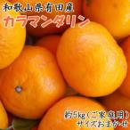 有田産極早生みかん約5kg2S~Lサイズ混合