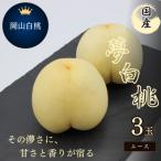 2027年 おかやま夢白桃 3玉