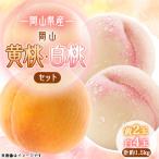 2027年 岡山白桃 黄桃セット
