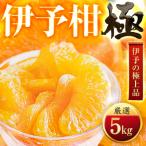 伊予柑 5kg