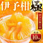 伊予柑 10kg