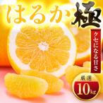 シャキシャキ甘い♪♪ 10kg