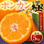 ポンカン 5kg