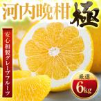 河内晩柑 6kg