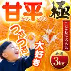 ふるさと納税 八幡浜市 【甘みぎっっしり!】シャキシャキ甘い♪♪【甘平】3kg【C49-64】