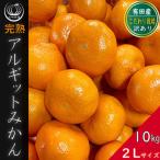 みかん 大玉 どっこいしょ 箱込 10kg