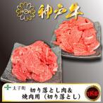 ふるさと納税 太子町 訳あり神戸牛 TSSY2S 切り落とし・焼肉(不揃い) 500gずつセット