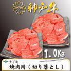ふるさと納税 太子町 訳あり神戸牛　TSY2S　焼肉用(切り落とし)　500g×2