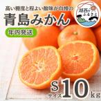 ふるさと納税 湖西市 【年内発送】【12月中旬より順次出荷予定】青島みかん約10kg Sサイズ〔鈴木農園〕