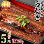 ふるさと納税 東串良町 東串良町のうなぎ蒲焼(無頭)(5尾・計約750g・タレ山椒付)【アクアおおすみ】【0294315a】