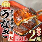 のうなぎ蒲焼 無頭 2尾