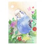 うちの子オーダーメイド 鳥イラスト セキセイインコ