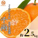 JAにしうわの季節の柑橘 紅まどんな 約2.5kg