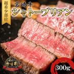ふるさと納税 日南市 宮崎牛 A4〜A5 黒毛和牛 牛肉 超希少部位 シャトーブリアン ステーキ 合計300g(2枚入り)
