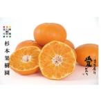 ショッピング甘平 ふるさと納税 八幡浜市 【2026年2月以降順次発送】〈特選〉越冬有袋 木成完熟 甘平(かんぺい)3kg【D34-12】