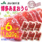 ふるさと納税 八女市 『先行受付』【博多あまおうグランデ270g×6パック】JAふくおか八女より産地直送※2月より順次発送