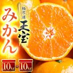 玉宝みかん 20kg